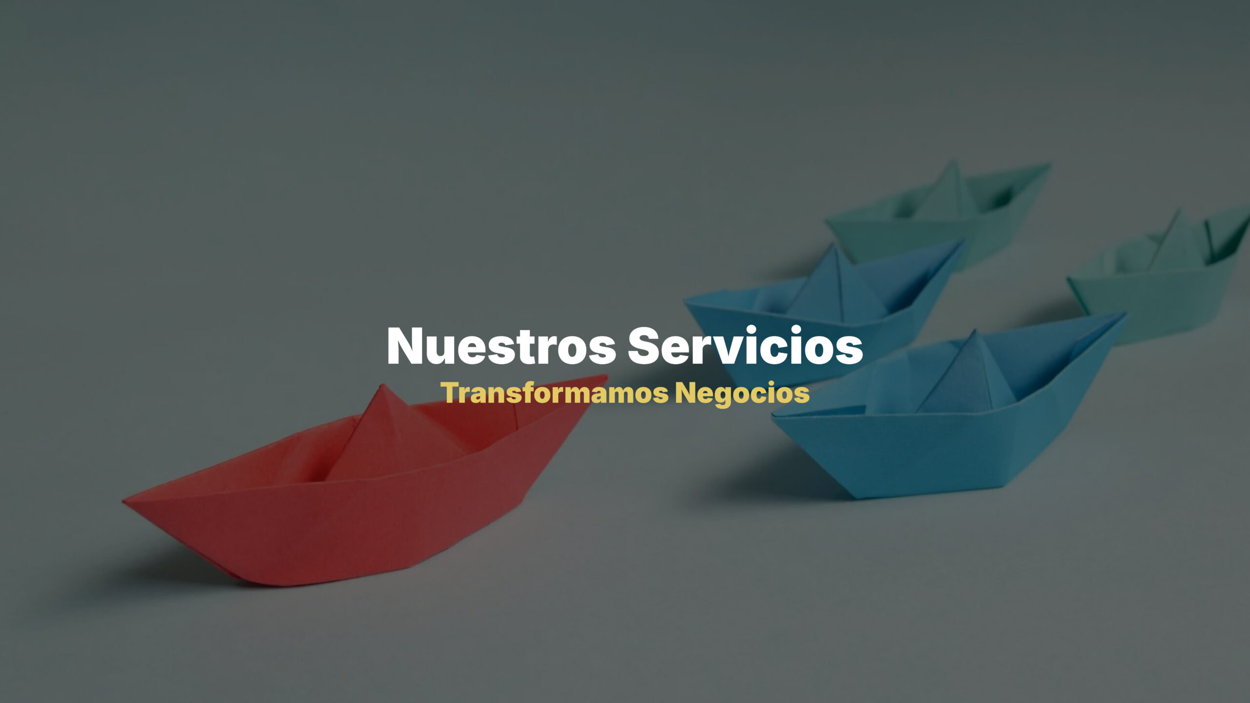 Nuestros servicios_Mesa de trabajo 1 copia 2